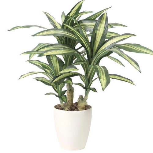 光触媒 人工観葉植物 ウォールグリーン フェイクグリーン 幸福の木マッサン