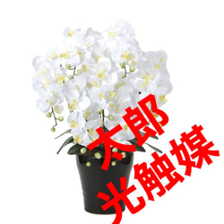 光触媒　人工観葉植物　ウォールグリーン　フェイクグリーン　キング胡蝶蘭７本立W 5枚目の画像