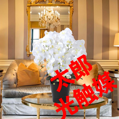 光触媒 人工観葉植物 ウォールグリーン フェイクグリーン キング胡蝶蘭 