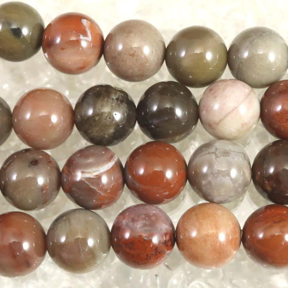 ペトリファイドウッド 珪化木 8mm玉ビーズ（粒売り）/PFW ビーズ 榎本