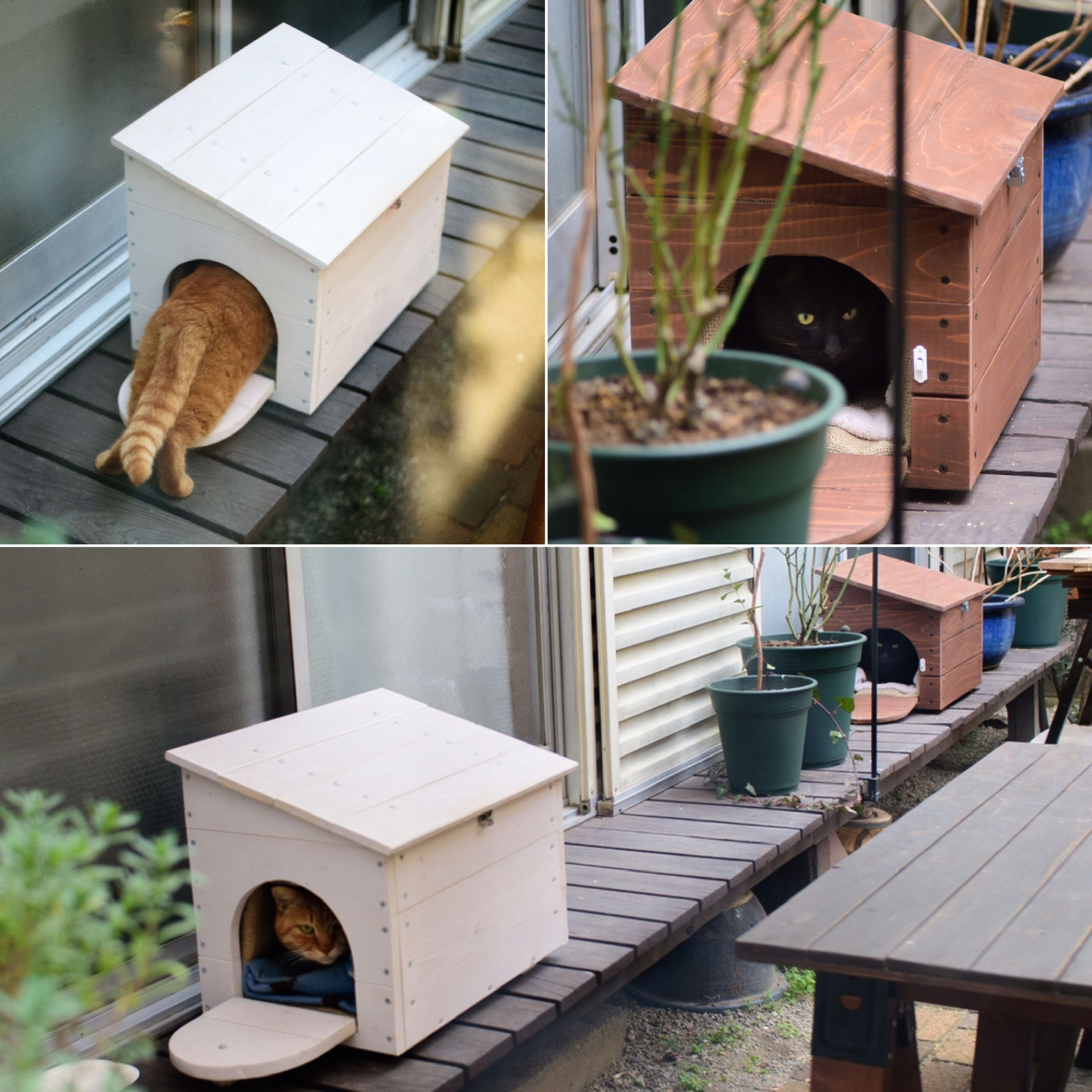 にゃんわんウッドハウス（猫／小型犬兼用）