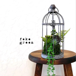 多肉植物の寄せ植え bird cage 1枚目の画像