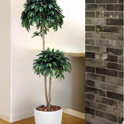 光触媒　人工観葉植物　フェイクグリーン　ベンジャミンダブル高さ1.6 2枚目の画像