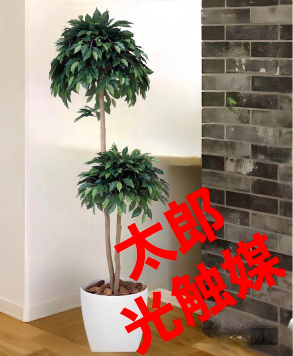 光触媒　人工観葉植物　フェイクグリーン　ベンジャミンダブル高さ1.6 1枚目の画像