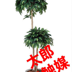 光触媒　人工観葉植物　フェイクグリーン　ベンジャミンダブル高さ1.6 3枚目の画像