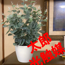 光触媒　人工観葉植物　ウォールグリーン　フェイクグリーン　ユーカリツリー100 光触媒 人工観葉植物 ウォールグリーン フェイク フラワー