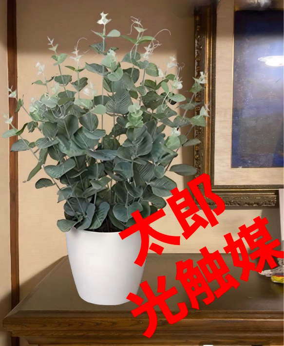 光触媒　人工観葉植物　ウォールグリーン　フェイクグリーン　ユーカリ高さ42センチ 1枚目の画像