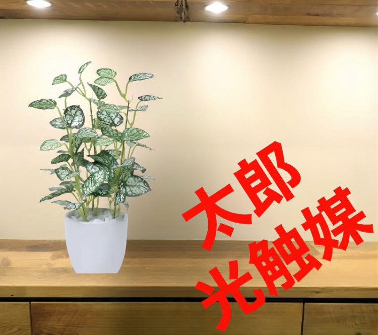光触媒 人工観葉植物 ウォールグリーン フェイクグリーン キング 胡蝶
