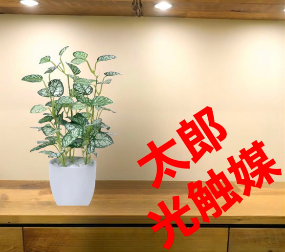 光触媒　人工観葉植物　ウォールグリーン　フェイクグリーン　ミニピポエスタポット@ 1枚目の画像