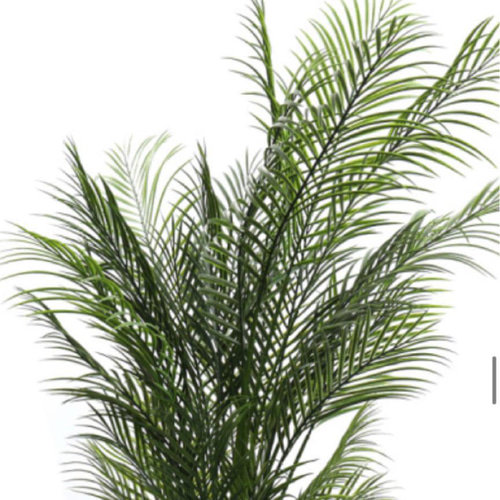 光触媒 人工観葉植物 ウォールグリーン フェイクグリーン アレカヤシ