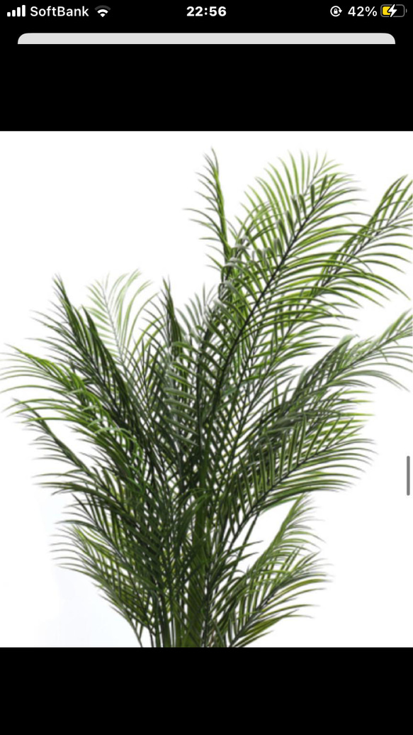 光触媒　人工観葉植物　ウォールグリーン　フェイクグリーン　アレカヤシ165 5枚目の画像