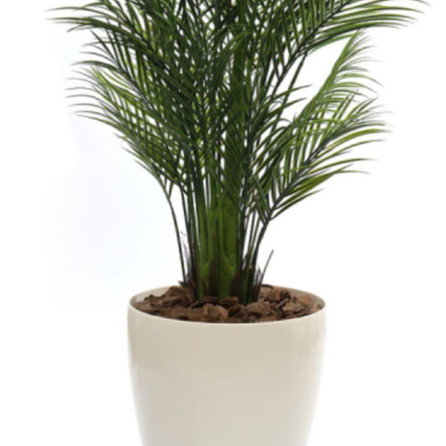 光触媒 人工観葉植物 ウォールグリーン フェイクグリーン アレカヤシ