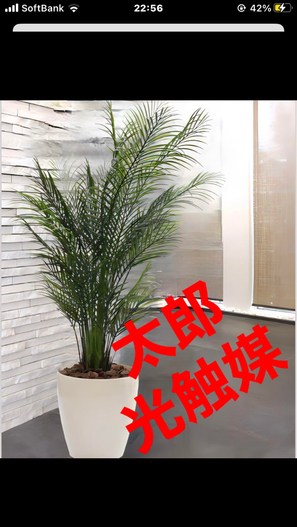 光触媒　人工観葉植物　ウォールグリーン　フェイクグリーン　アレカヤシ 光触媒 人工観葉植物 ウォールグリーン フェイクグリーン アレカヤシ