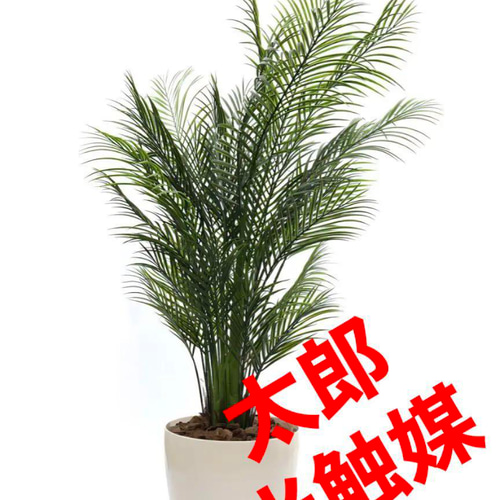 光触媒 人工観葉植物 ウォールグリーン フェイクグリーン アレカヤシ