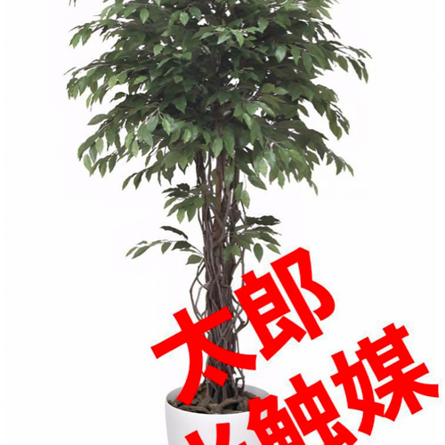 光触媒 人工観葉植物 フェイクグリーン ベンジャミンリアナ1.8 その他