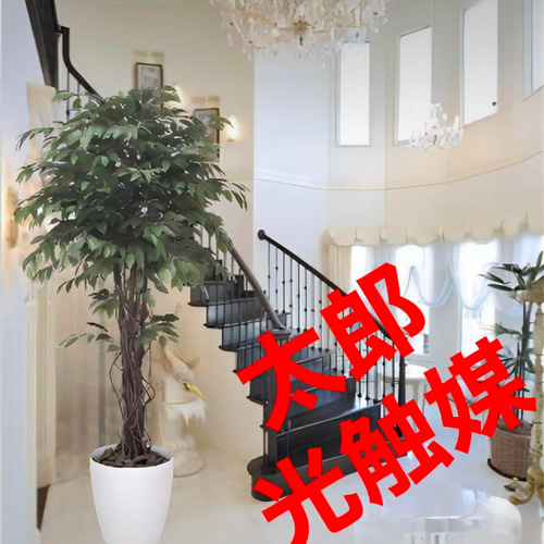 光触媒 人工観葉植物 フェイクグリーン ベンジャミンリアナ1.8 その他