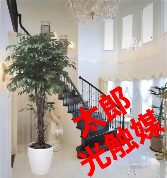 光触媒　人工観葉植物　フェイクグリーン　ベンジャミンリアナ1.8 光触媒 人工観葉植物 フェイクグリーン ベンジャミンリアナ1.8 その他