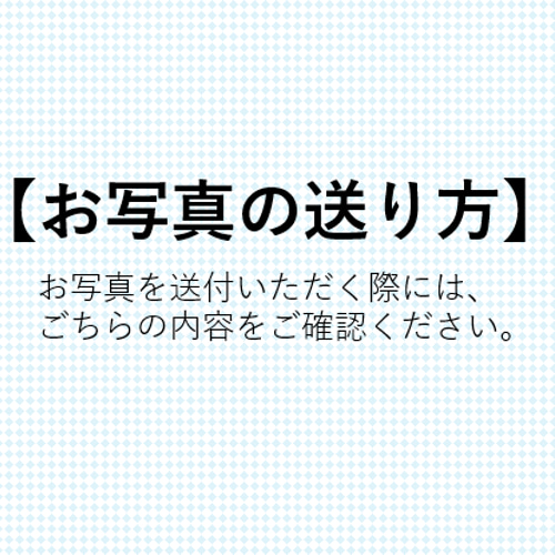 お写真の送り方 ペット服・アクセサリー CenLee 通販 17653223｜Creema 
