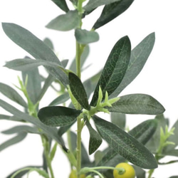 光触媒　人工観葉植物　ウォールグリーン　フェイクグリーン　オリーブ73 6枚目の画像