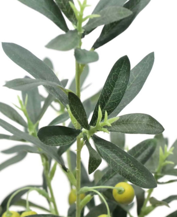光触媒　人工観葉植物　ウォールグリーン　フェイクグリーン　オリーブ73 6枚目の画像
