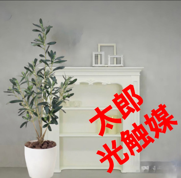 光触媒　人工観葉植物　ウォールグリーン　フェイクグリーン　オリーブ73センチ 光触媒 人工観葉植物 ウォールグリーン フェイクグリーン