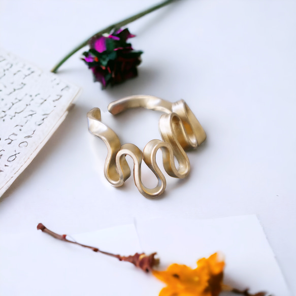 [單耳耳夾/黃銅] “手風琴”黃銅 第1張的照片