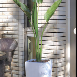 光触媒　人工観葉植物　フェイクグリーン　オーガスタ1.8 室内外兼用 2枚目の画像