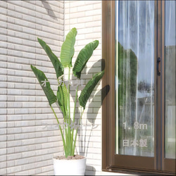 光触媒　人工観葉植物　フェイクグリーン　オーガスタ1.8 室内外兼用 3枚目の画像