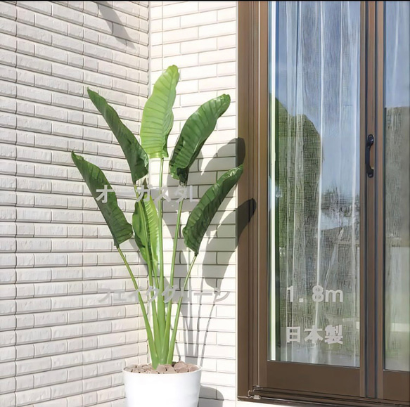 光触媒　人工観葉植物　フェイクグリーン　オーガスタ1.8 室内外兼用 5枚目の画像
