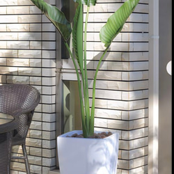 光触媒　人工観葉植物　フェイクグリーン　オーガスタ1.8 室内外兼用 6枚目の画像