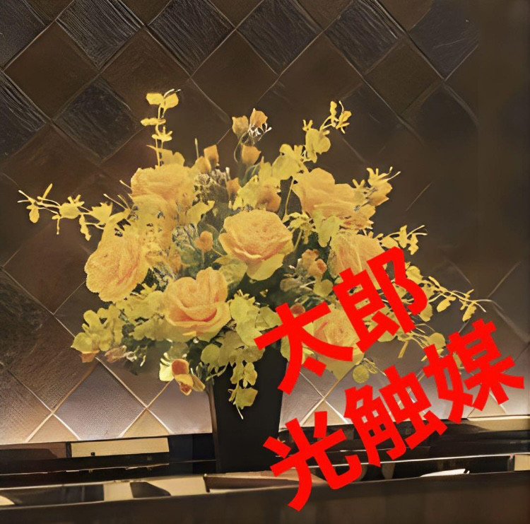 光触媒　人工観葉植物　フェイクグリーン　ゴールドエース 高さ55cm