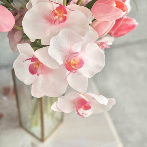 ご予約商品】胡蝶蘭とチューリップのクラッチブーケ ブーケ Stella