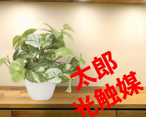 光触媒 人工観葉植物 ウォールグリーン フェイクグリーン マーブル