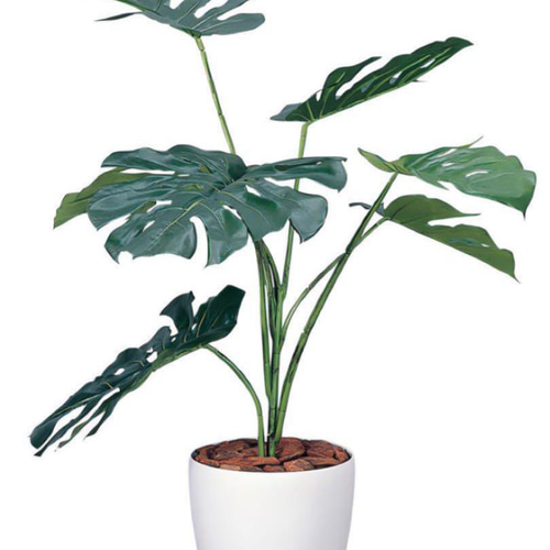 光の楽園 光触媒 人工観葉植物 ウォールグリーン フェイクグリーン