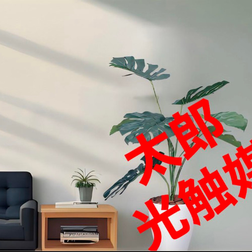 光の楽園 光触媒 人工観葉植物 ウォールグリーン フェイクグリーン