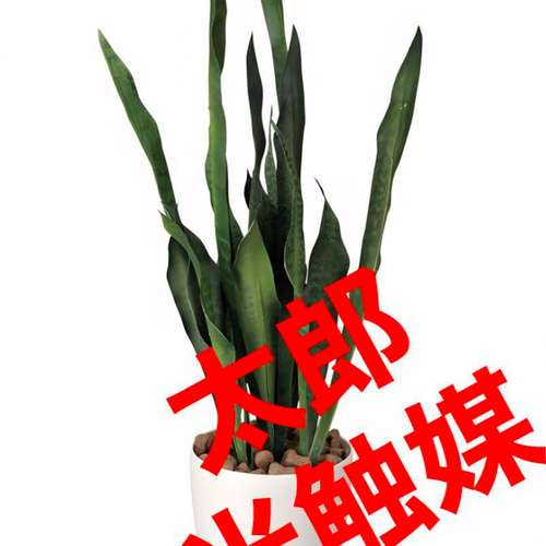 光触媒 人工観葉植物 ウォールグリーン フェイクグリーン サンセベリア  