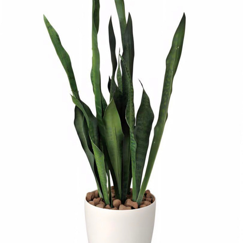 光触媒 人工観葉植物 ウォールグリーン フェイクグリーン サンセベリア  