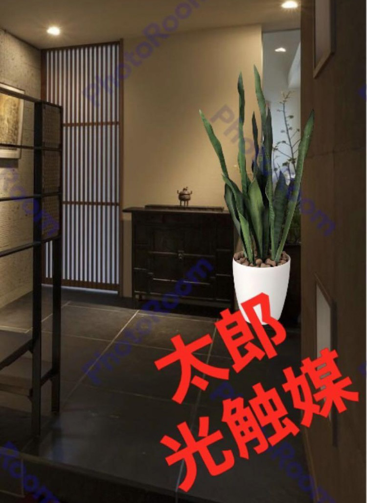 光触媒 人工観葉植物 ウォールグリーン フェイクグリーン サンセベリア  