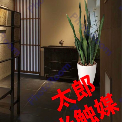 新作商品 光触媒 人工観葉植物 ウォールグリーン フェイクグリーン フラワー・リース