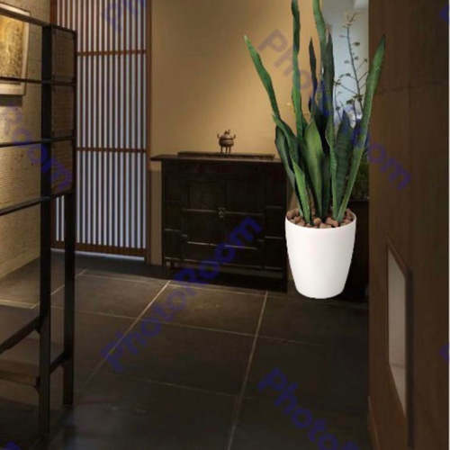 光触媒 人工観葉植物 ウォールグリーン フェイクグリーン サンセベリア  