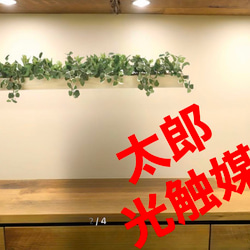 光触媒 人工観葉植物 ウォールグリーン フェイクグリーン ウッド