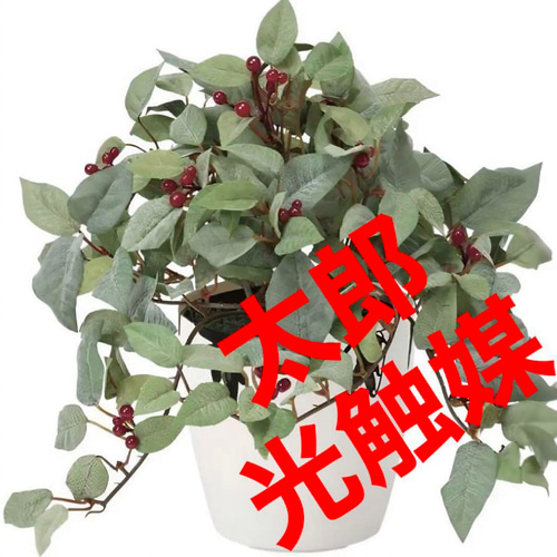 光触媒 人工観葉植物 ウォールグリーン フェイクグリーン ローレル@gP