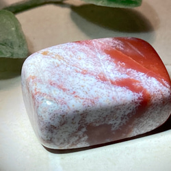 海の石✿  オーシャンジャスパー　原石　タンブル 2枚目の画像