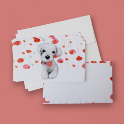 メッセージカード封筒セット（5種類） 9枚目の画像