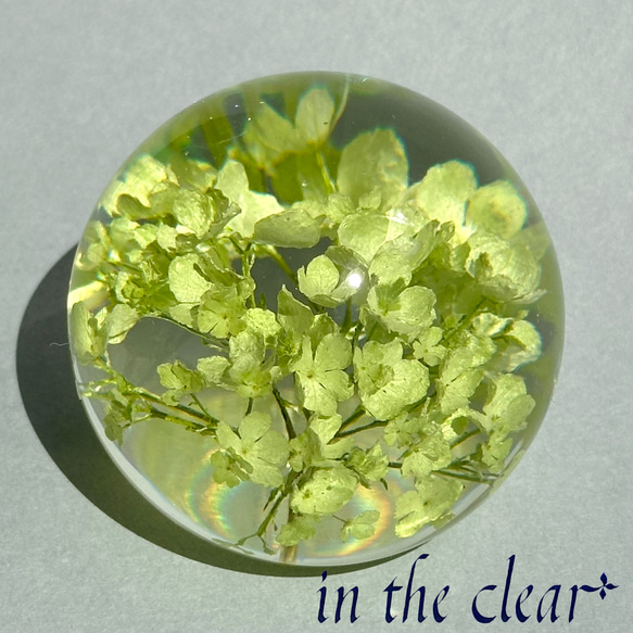 植物標本　ビバーナム　スノーボール　薄緑色　レジン　５センチ球体 1枚目の画像