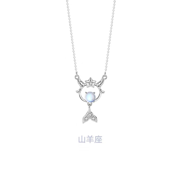 12星座 山羊座 ネックレス ペンダント シルバー925 silver 女性