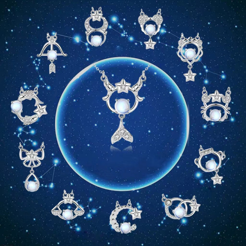 12星座 山羊座 ネックレス ペンダント シルバー925 silver 女性 誕生日