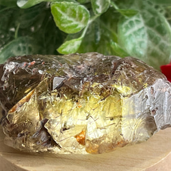 ルチル内包✨　スモーキー エレスチャル クォーツ 骸骨水晶　原石　ラフストーン 1枚目の画像