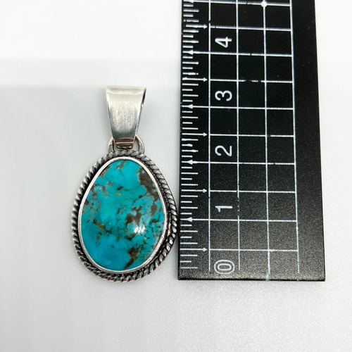 ターコイズマウンテン ターコイズ トルコ石 シルバー ネックレス