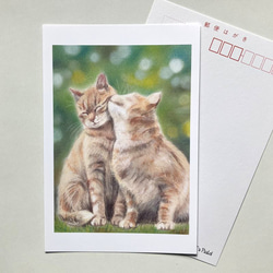 ２２４　選べるポストカード　なかよし猫　5枚セット 1枚目の画像